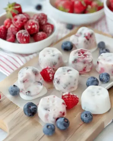 CARB FROZEN YOGHURT BITES (FROYO BITES)