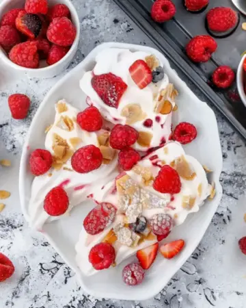 Frozen yogurt pieces with berries