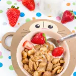 Zimt-Knusperflakes – die Alternative zu Cini Minis mit 3 Zutaten